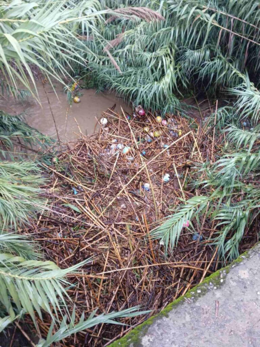 Αγρίνιο: Προβλήματα από τις βροχές - Πλημμύρισαν δρόμοι, μπήκαν νερά σε σπίτια, δείτε βίντεο