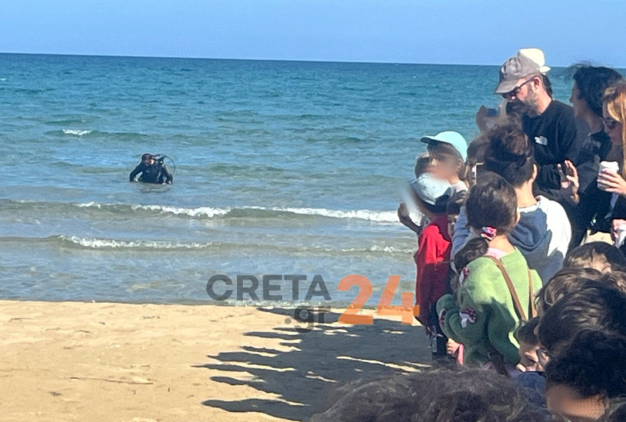 Ηράκλειο: Η θαλάσσια χελώνα Ναυσικά επέστρεψε στη θάλασσα μετά από τέσσερα χρόνια - Η ιστορία διάσωσής της εν μέσω κορωνοϊού