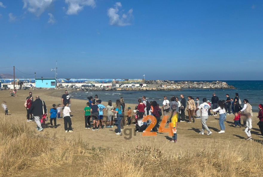 Ηράκλειο: Η θαλάσσια χελώνα Ναυσικά επέστρεψε στη θάλασσα μετά από τέσσερα χρόνια - Η ιστορία διάσωσής της εν μέσω κορωνοϊού