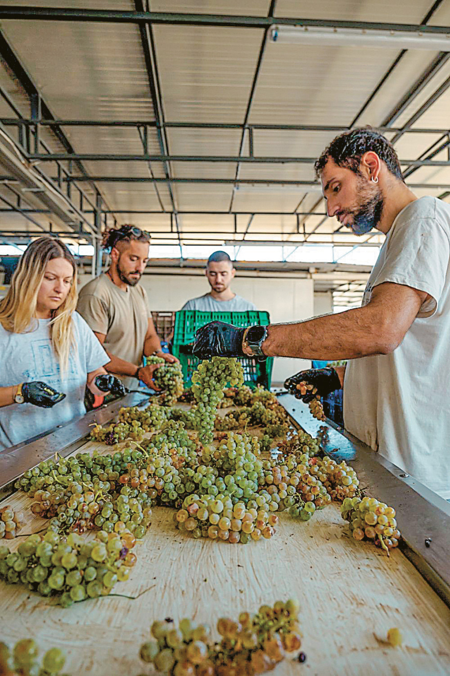 Ο Μπουτάρης πήρε το Κτήμα Σιγάλα: Η ιστορία της μακράς συμπόρευσης των δύο επιχειρήσεων