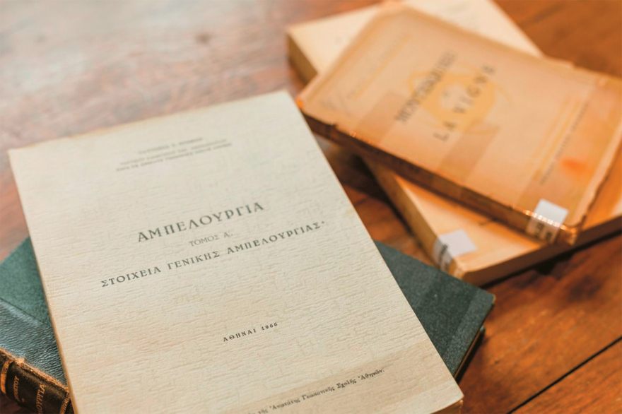  «Μουσείο» Μπουτάρη: Η πρώτη βιβλιοθήκη... κρασιού στην Ελλάδα - Το μεγάλο όραμα που πήρε σάρκα και οστά στη Νάουσα