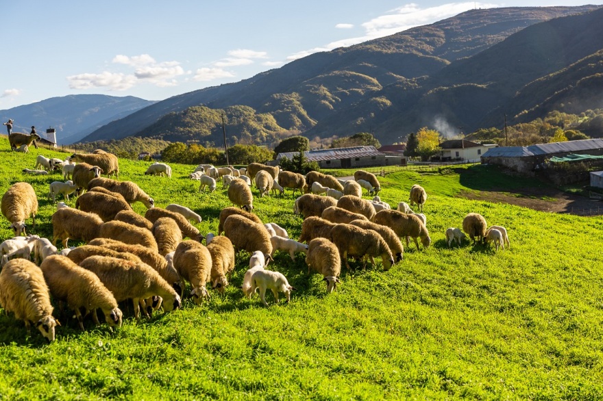 Βιώσιμη ανάπτυξη με συνέπεια: Παράδοση, καινοτομία και υπευθυνότητα για ένα καλύτερο μέλλον
