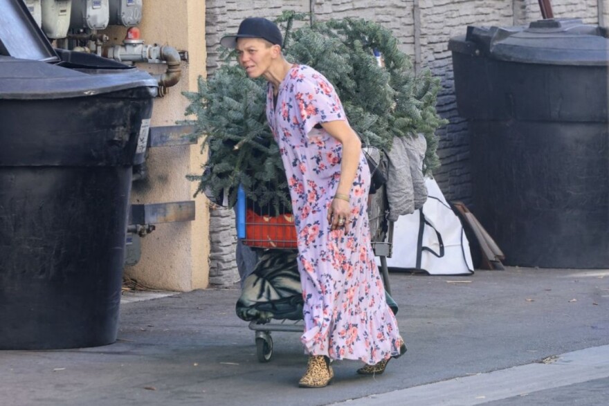 Η τραγική ιστορία της Λόνι Γουίλισον: Από διάσημο μοντέλο με μεγάλη περιουσία, άστεγη στους δρόμους να τρώει από τα σκουπίδια