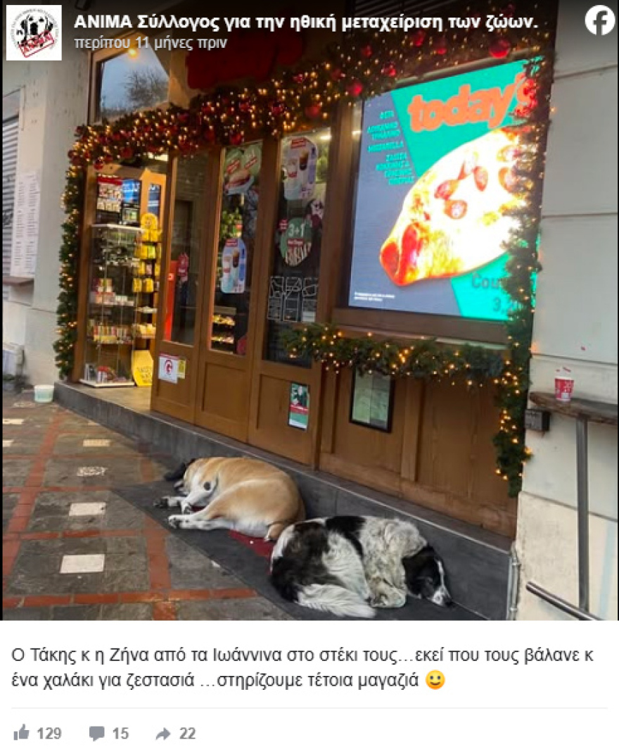 Ο Τάκης, ο παχουλός σκύλος των Ιωαννίνων είναι η πιο αγαπημένη μασκότ της πόλης