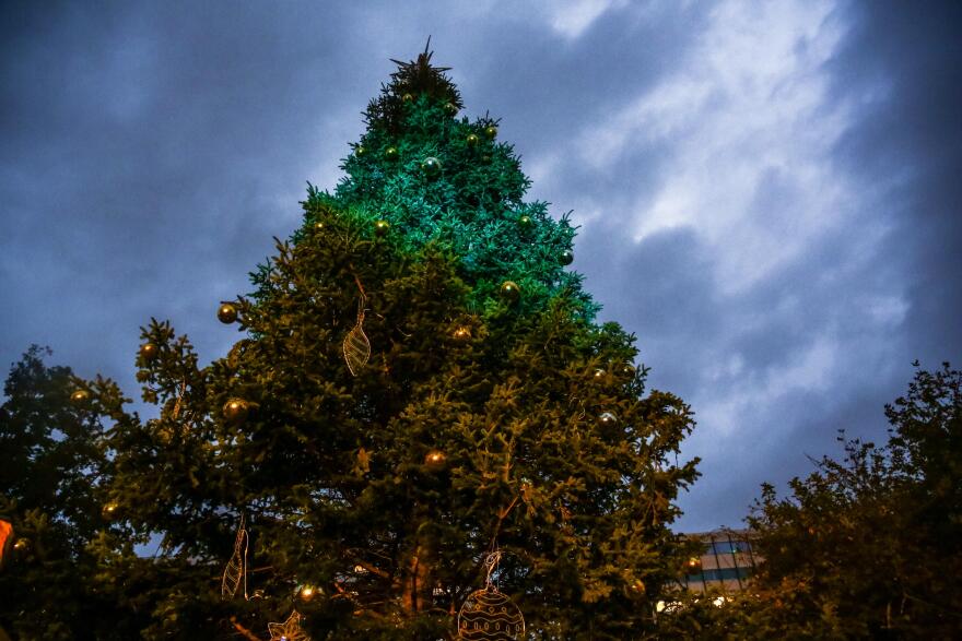 Αθηναίοι αψηφούν τη βροχή, με τις ομπρέλες στα χέρια περιμένουν τη φωταγώγηση του δέντρου στο Σύνταγμα – Δείτε φωτογραφίες