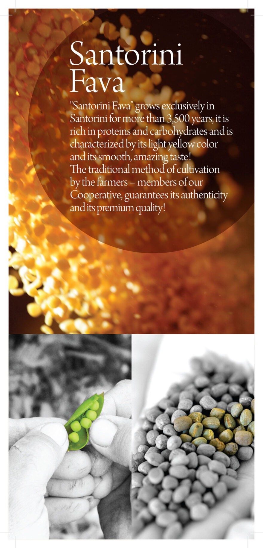 Ο κύκλος της φάβας στη νησιωτική Ελλάδα