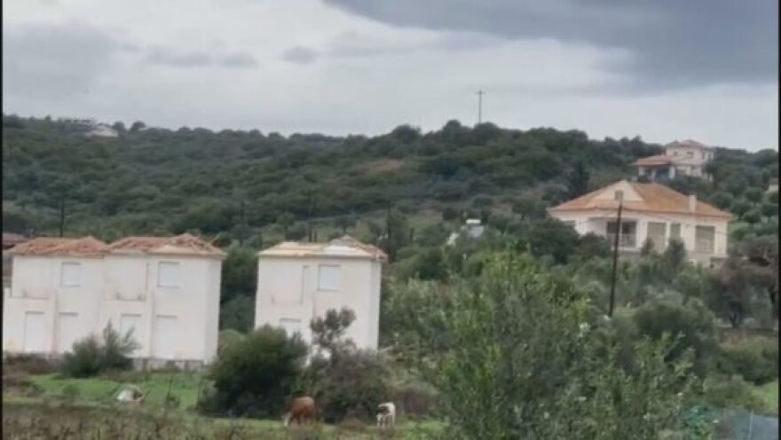 Ανεμοστρόβιλος προκάλεσε καταστροφές σε σπίτια και επιχειρήσεις στη Φοινικούντα - Δείτε φωτογραφίες και βίντεο