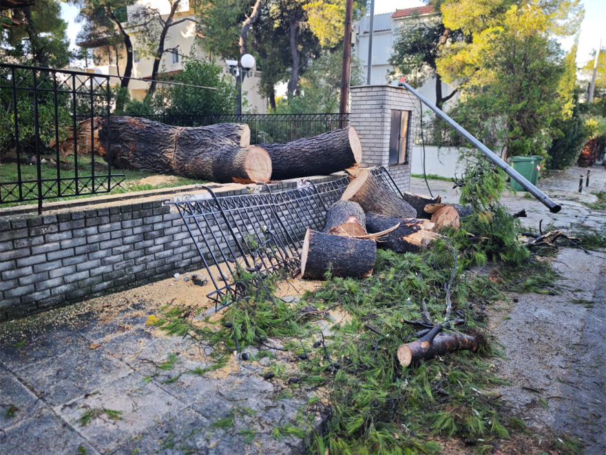 Έπεσαν δέντρα από το μπουρίνι στην Κηφισιά - Ζημιές σε μάντρες σπιτιών και σταθμευμένα ΙΧ, δείτε εικόνες