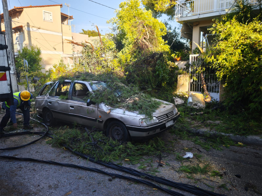 Έπεσαν δέντρα από το μπουρίνι στην Κηφισιά - Ζημιές σε μάντρες σπιτιών και σταθμευμένα ΙΧ, δείτε εικόνες