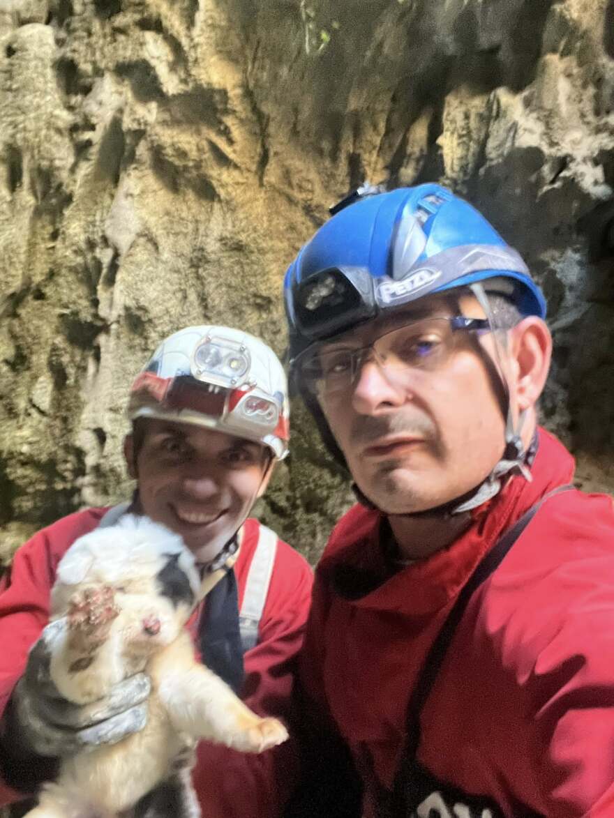 Κτηνωδία στο Πήλιο: Πέταξαν κουτάβια σε γκρεμό 20 μέτρων, σώθηκε ένα που προστάτεψαν σακούλες σκουπιδιών, δείτε βίντεο