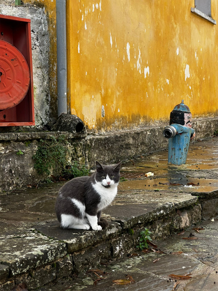 Τα Γιάννενα είναι η πόλη των 15 λεπτών και η πιο ευτυχισμένη της Ελλάδας: Το μαγευτικό τοπίο, η ιδιαίτερη κουζίνα και η άνοδος του συνεδριακού τουρισμού