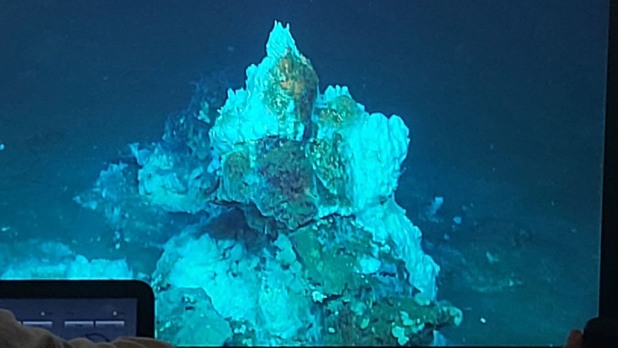 «Μείναμε έκπληκτοι από την ποικιλία και την ομορφιά»: Άγνωστα υποθαλάσσια υδροθερμικά πεδία αποκαλύπτει έρευνα στη Μήλο