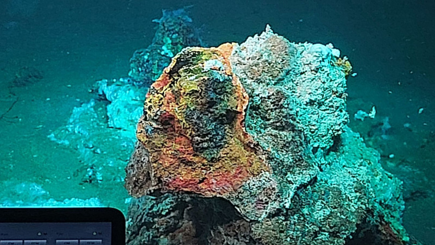 «Μείναμε έκπληκτοι από την ποικιλία και την ομορφιά»: Άγνωστα υποθαλάσσια υδροθερμικά πεδία αποκαλύπτει έρευνα στη Μήλο