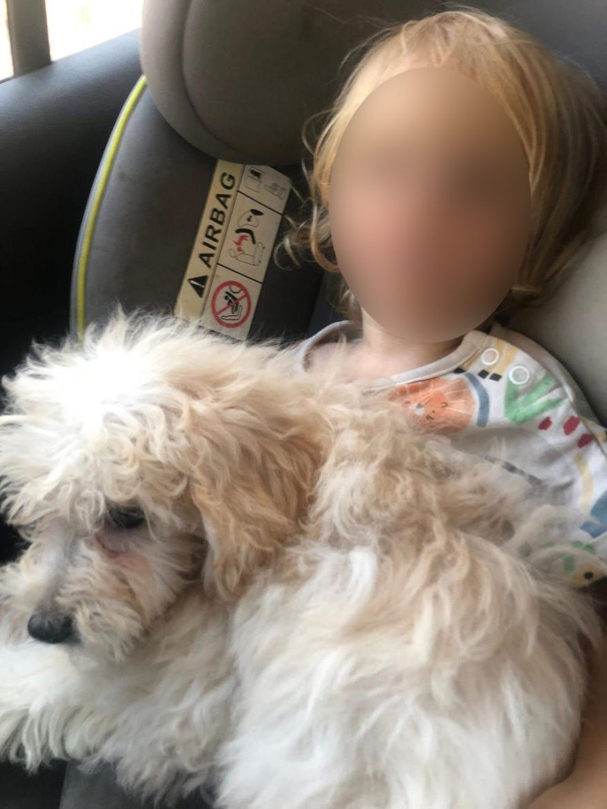 Πριν από 10 μέρες είχε γενέθλια ο μικρός Λίο που σκοτώθηκε από το πίτμπουλ στη Ζάκυνθο - Στην προστασία των ζώων είχε αφιερώσει τη ζωή της η οικογένεια