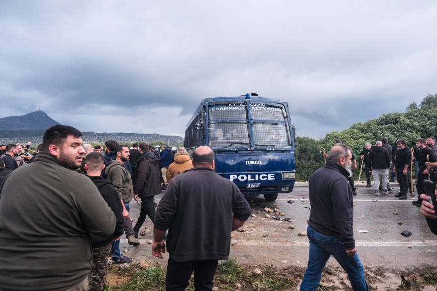 agrotes-peripoliko__10_