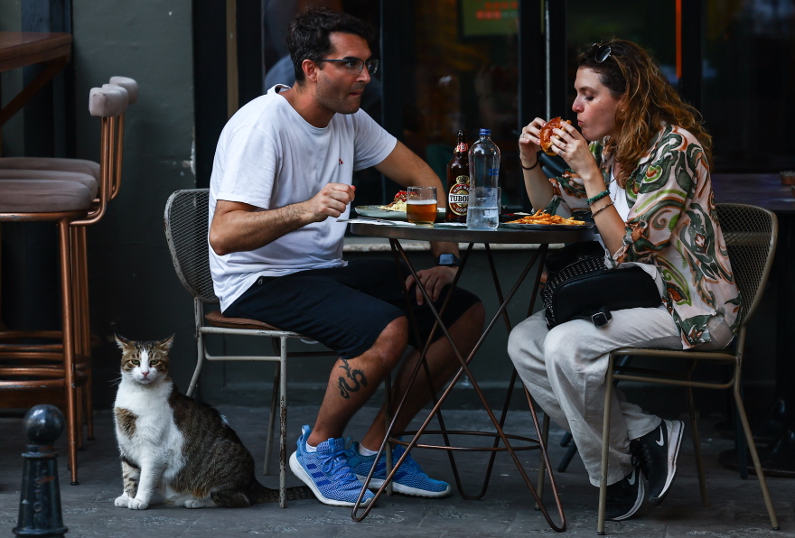 Μέσα στην πόλη που «κυβερνούν» οι γάτες: Η παράδοση από την Οθωμανική Αυτοκρατορία και τα ζώα-σύμβολα της Κωνσταντινούπολης