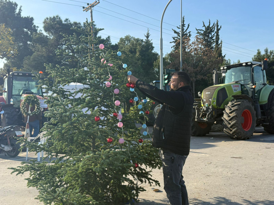 Στόλισαν έλατο από τον Ταξιάρχη οι αγρότες στα «Πράσινα Φανάρια»: Θα μείνουμε και τα Χριστούγεννα εδώ, λένε