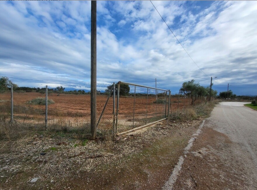 Ο «Έλληνας Εσκομπάρ» είχε και άλλα χρέη: Στο σφυρί έκταση 100 στρεμμάτων για φέσι του παρελθόντος