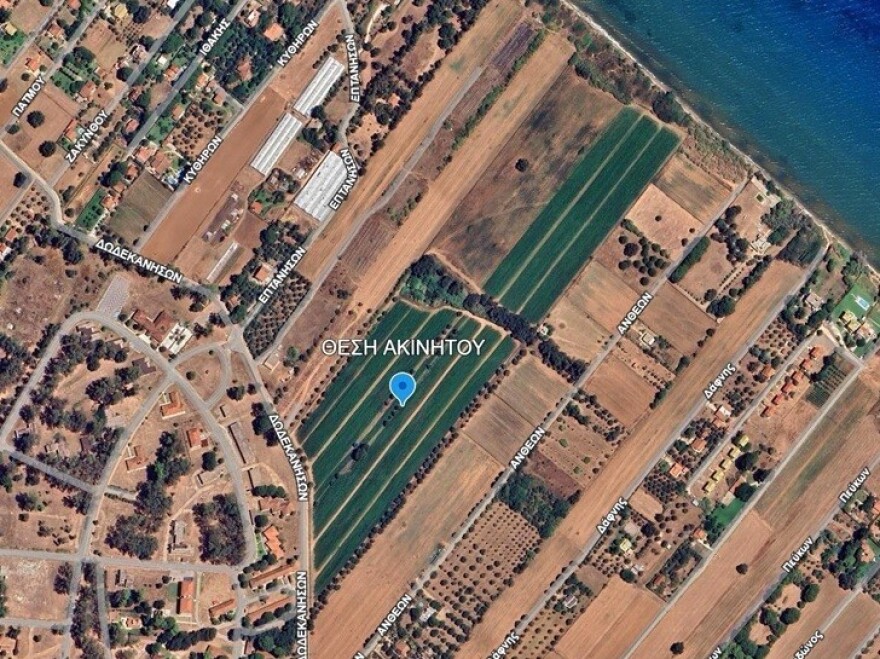 Ο «Έλληνας Εσκομπάρ» είχε και άλλα χρέη: Στο σφυρί έκταση 100 στρεμμάτων για φέσι του παρελθόντος