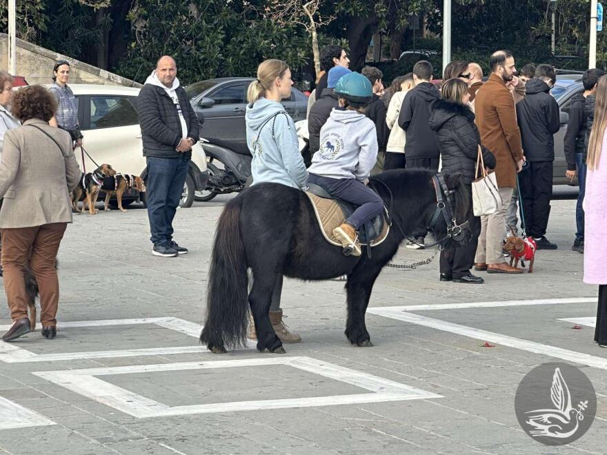 Πιστοί με μικρά και μεγάλα ζώα συμμετείχαν σε εκκλησιασμό στη Ρόδο, δείτε φωτογραφίες