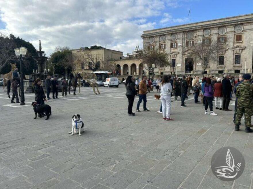 Πιστοί με μικρά και μεγάλα ζώα συμμετείχαν σε εκκλησιασμό στη Ρόδο, δείτε φωτογραφίες