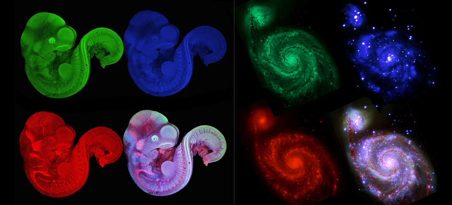 New Perspectives: Από το απέραντο διάστημα έως τη μικροκλίμακα της φύσης