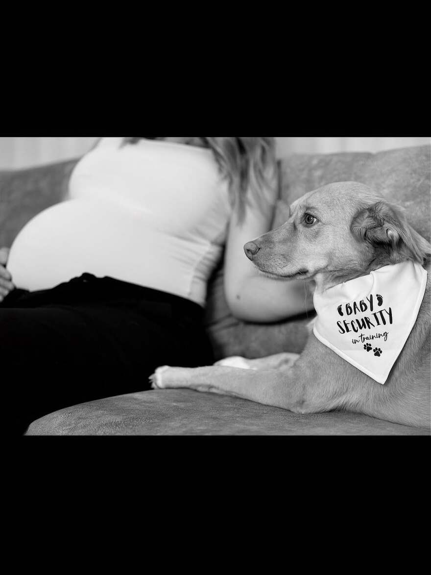 «Η οικογένειά μας μεγαλώνει»: Ετοιμόγεννη η Άννα Κορακάκη, αποκάλυψε το φύλο του μωρού που περιμένει, δείτε φωτογραφίες
