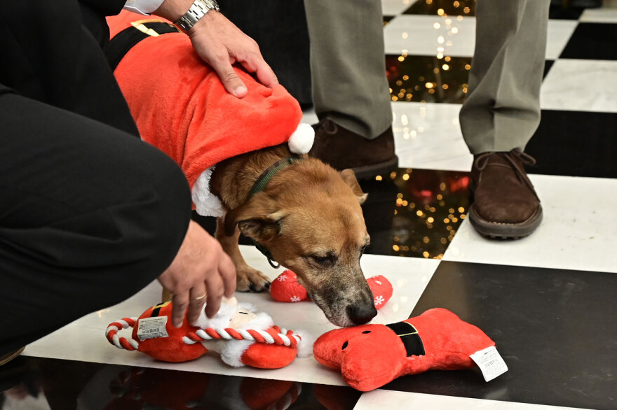 Τα χριστουγεννιάτικα κάλαντα στον Μητσοτάκη από μαθητές και πολιτιστικό Σύλλογο, ντυμένος «Άγιος Βασίλης» ο Πίνατ 