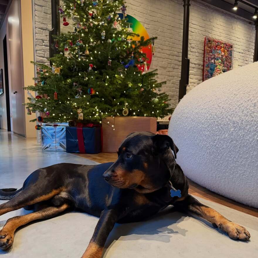 Η Ντούα Λίπα πέρασε τα Χριστούγεννα με τον Κάλουμ Τέρνερ: Όλα έχουν να κάνουν με την αγάπη
