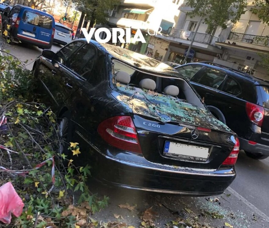 Θυελλώδεις άνεμοι στη Θεσσαλονίκη, ξεπέρασαν τα 100 χλμ την ώρα οι ριπές: Δεκάδες κλήσεις για πτώσεις δέντρων