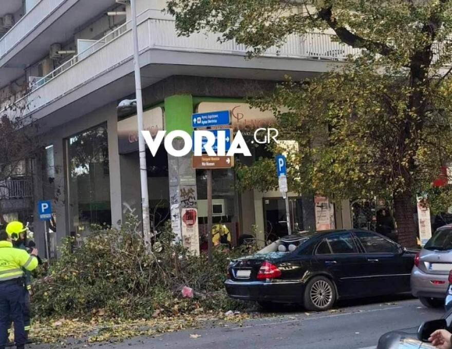 Θυελλώδεις άνεμοι στη Θεσσαλονίκη, ξεπέρασαν τα 100 χλμ την ώρα οι ριπές: Δεκάδες κλήσεις για πτώσεις δέντρων