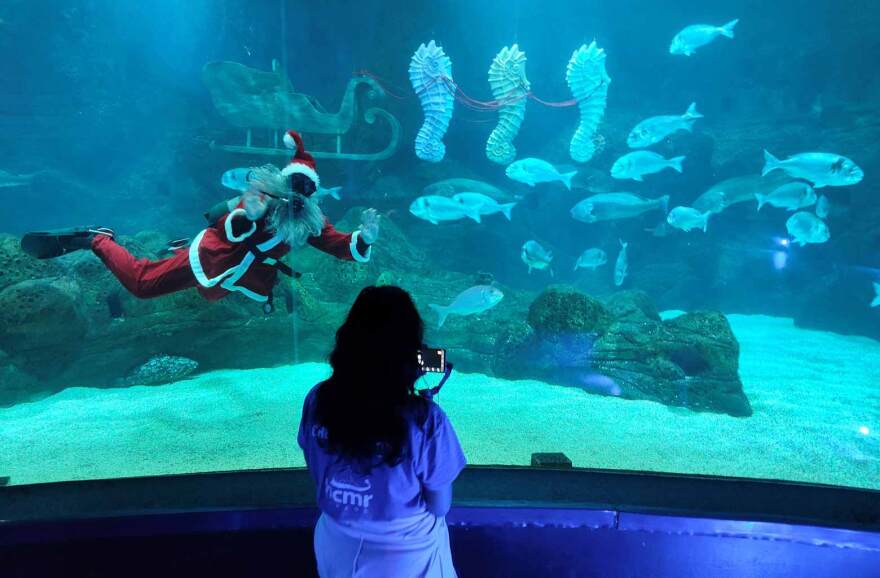 Χριστουγεννιάτικη ξενάγηση στο Ενυδρείο Κρήτης για παιδιά που νοσηλεύονται