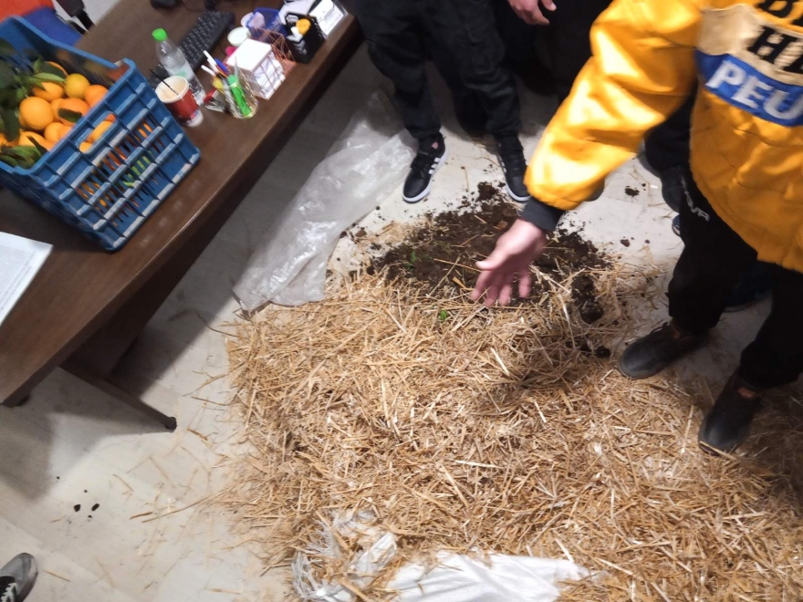 Αγρίνιο: Με σανό και κοπριά πήγαν στα γραφεία βουλευτών της ΝΔ αγρότες από το μπλόκο στο Αγγελόκαστρο, δείτε φωτογραφίες