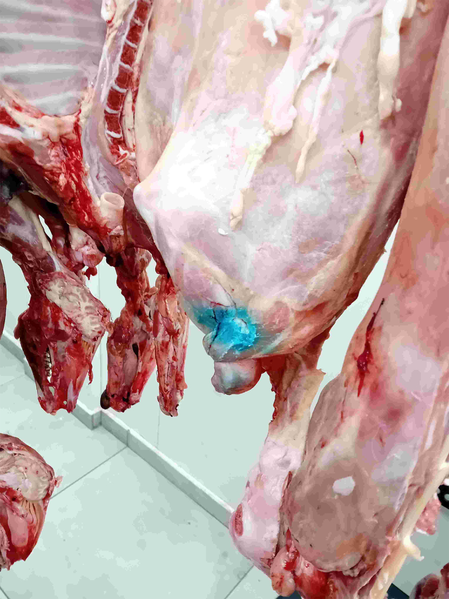 Χαλασμένα μπιφτέκια, βρώμικοι πάγκοι, άθλιες συνθήκες -  Κατασχέθηκαν 12 τόνοι ακατάλληλων προϊόντων, δείτε φωτογραφίες