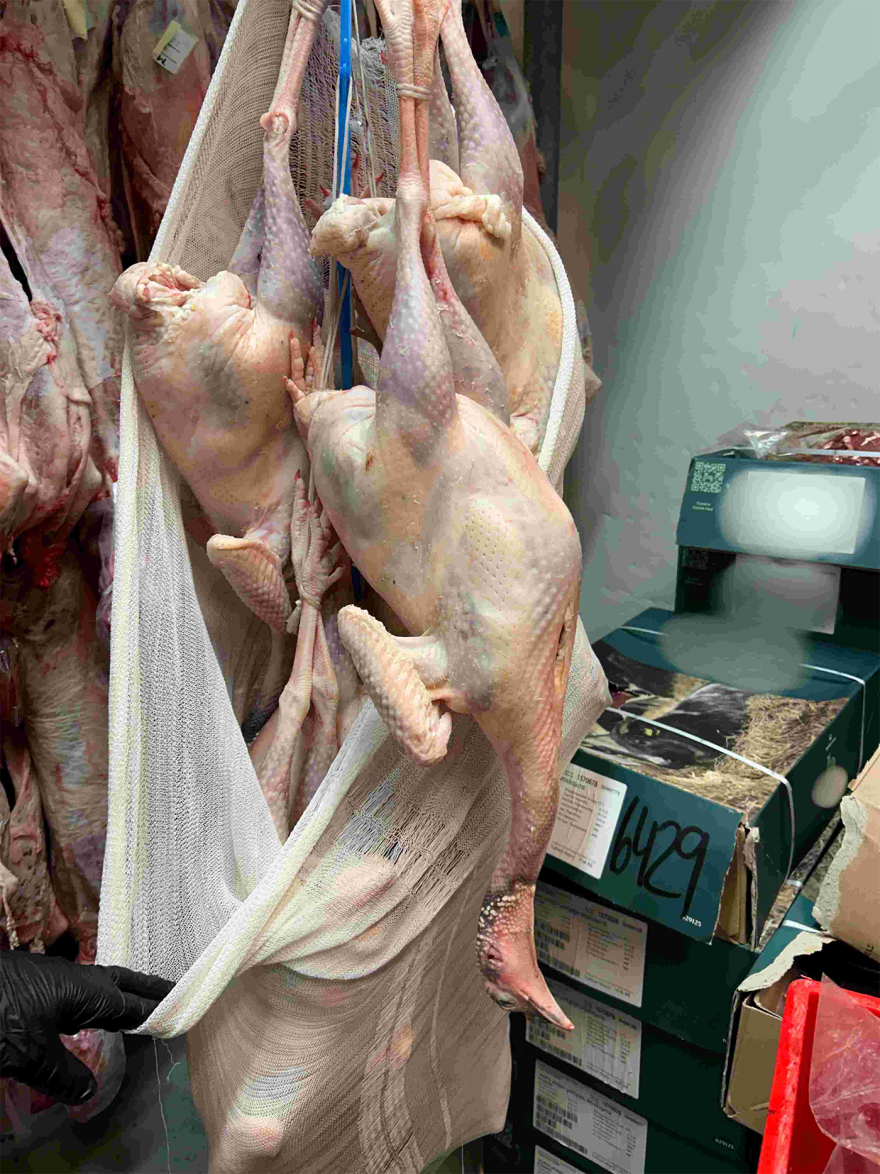 Χαλασμένα μπιφτέκια, βρώμικοι πάγκοι, άθλιες συνθήκες -  Κατασχέθηκαν 12 τόνοι ακατάλληλων προϊόντων, δείτε φωτογραφίες