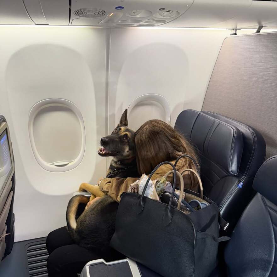 Αμαλία Κωστοπούλου για τον σύζυγό της: Φέτος ήταν η χρονιά που γίναμε οικογένεια 