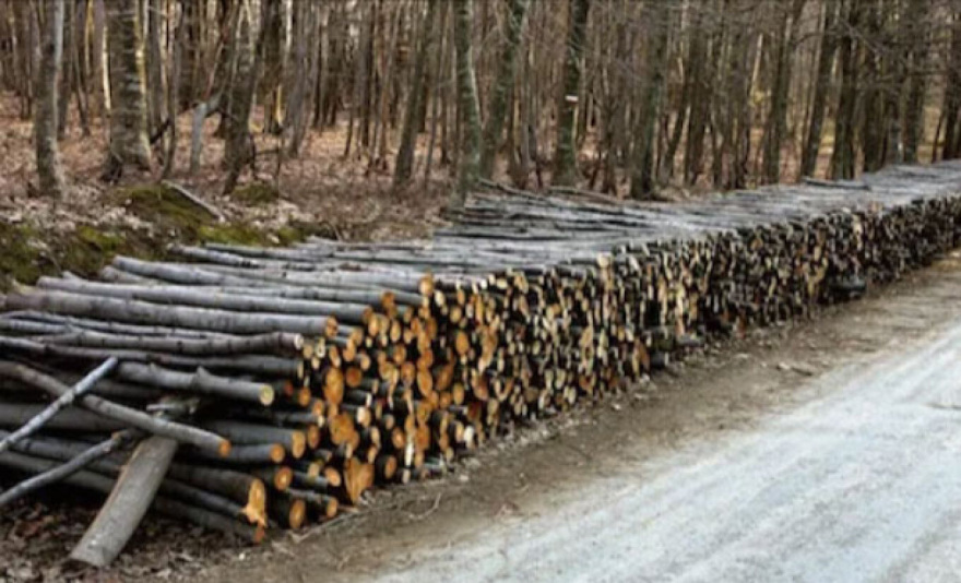 Με χαμηλότερες θερμοκρασίες ξεκίνησε η χειμερινή σεζόν για την αγορά καυσόξυλων