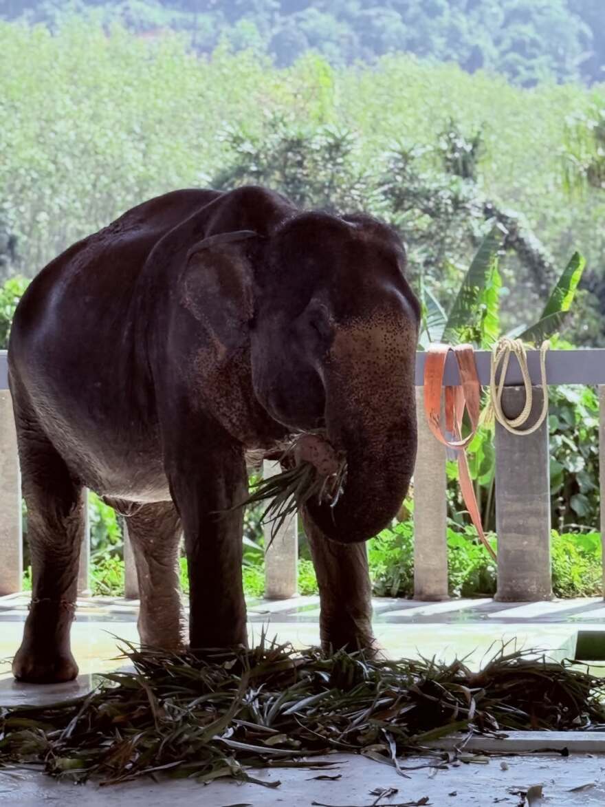 Η Σοφία Καρβέλα υποδέχτηκε το νέο έτος στο Πουκέτ της Ταϊλάνδης: Πήρα μια γεύση από τον παράδεισο