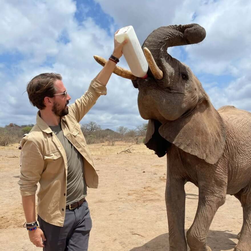 H Νίνα Φλορ και ο Φίλιππος Ντε Γκρες ταξίδεψαν στην Αφρική: Το σαφάρι και οι στιγμές στην άγρια φύση