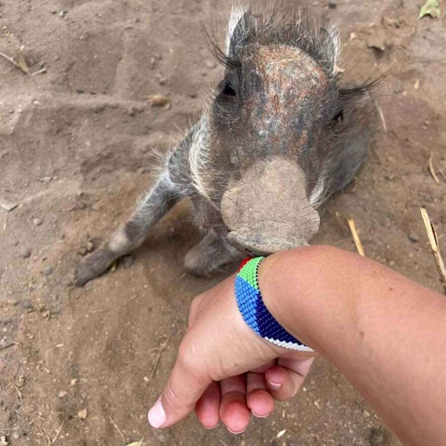 H Νίνα Φλορ και ο Φίλιππος Ντε Γκρες ταξίδεψαν στην Αφρική: Το σαφάρι και οι στιγμές στην άγρια φύση