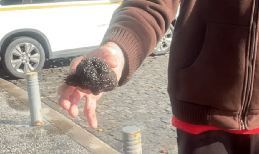 Βγήκε η θάλασσα στον δρόμο στη Μύρινα της Λήμνου λόγω των θυελλωδών ανέμων, ξεβράστηκαν μέχρι και αχινοί