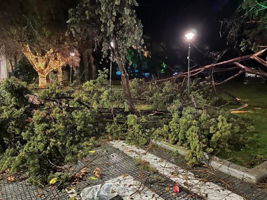 Μεγάλες ζημιές στην Αλεξανδρούπολη: Άνεμοι με ριπές 140 χιλιομέτρων χτύπησαν την πόλη, δείτε βίντεο