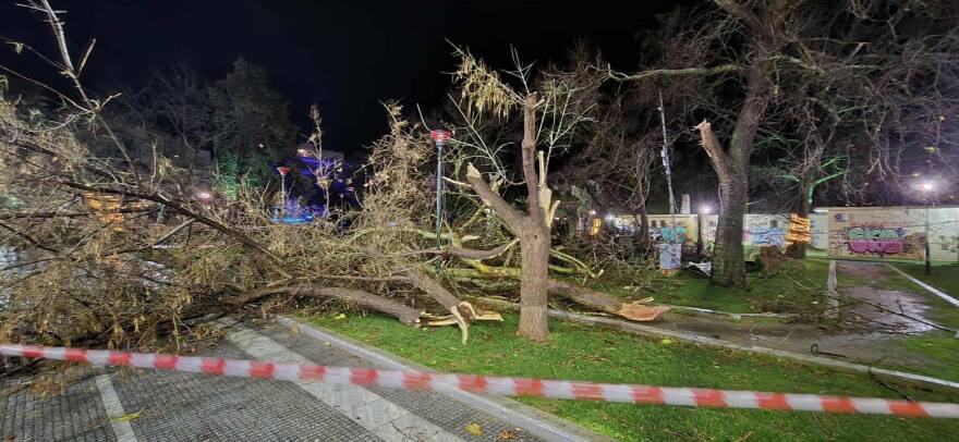 Μεγάλες ζημιές στην Αλεξανδρούπολη: Άνεμοι με ριπές 140 χιλιομέτρων χτύπησαν την πόλη, δείτε βίντεο