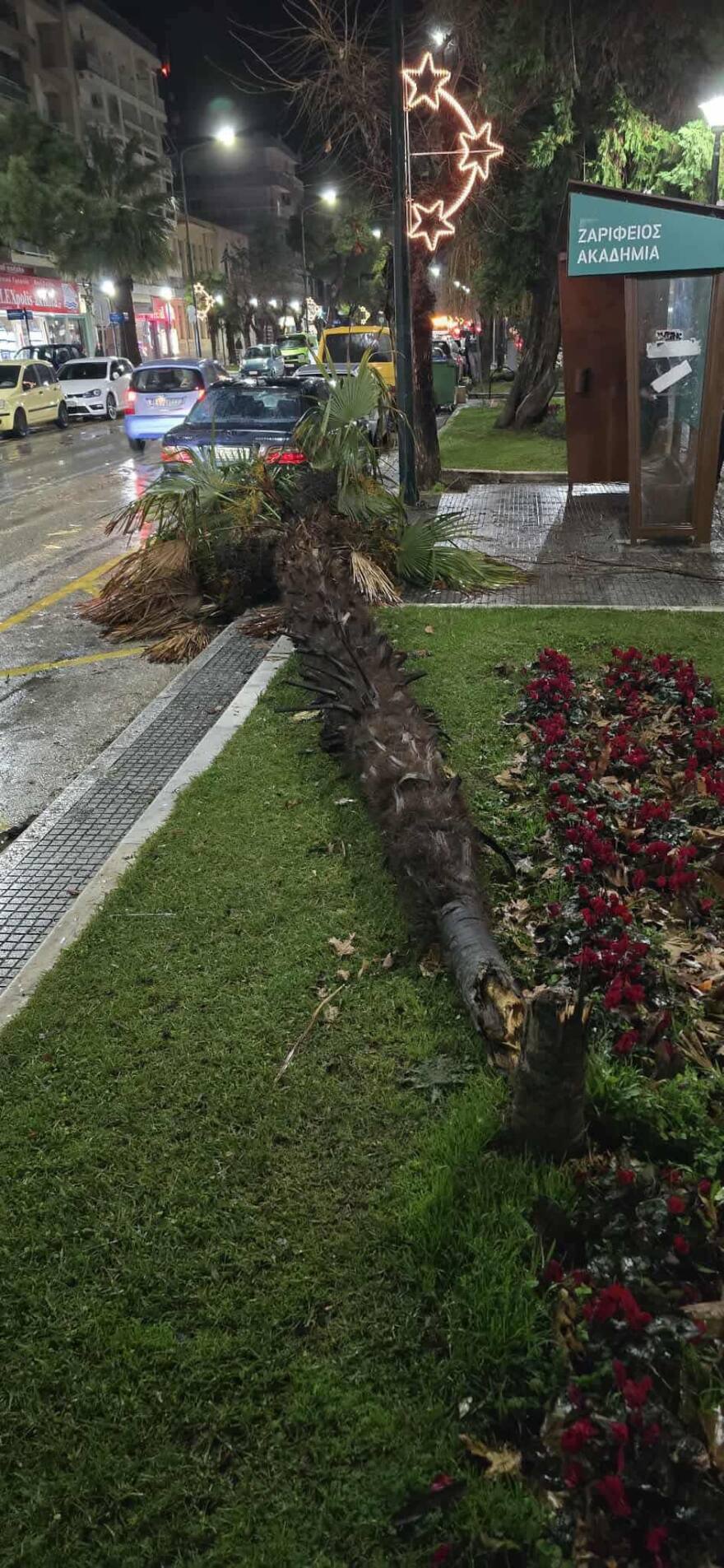 Μεγάλες ζημιές στην Αλεξανδρούπολη: Άνεμοι με ριπές 140 χιλιομέτρων χτύπησαν την πόλη, δείτε βίντεο