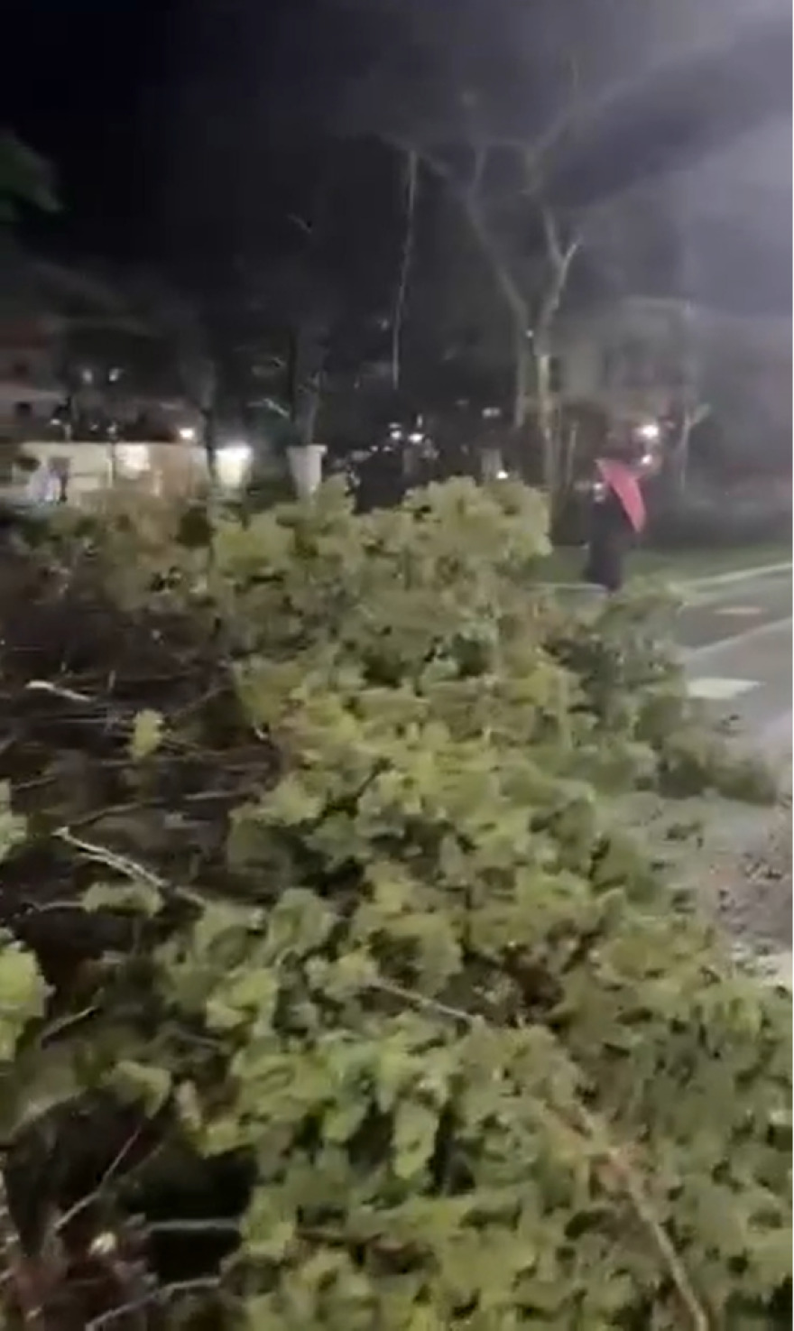 Μεγάλες ζημιές στην Αλεξανδρούπολη: Άνεμοι με ριπές 140 χιλιομέτρων χτύπησαν την πόλη, δείτε βίντεο