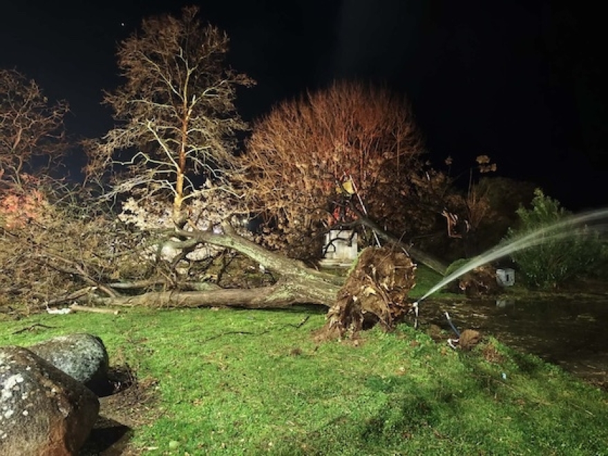 Μεγάλες ζημιές στην Αλεξανδρούπολη: Άνεμοι με ριπές 140 χιλιομέτρων χτύπησαν την πόλη, δείτε βίντεο