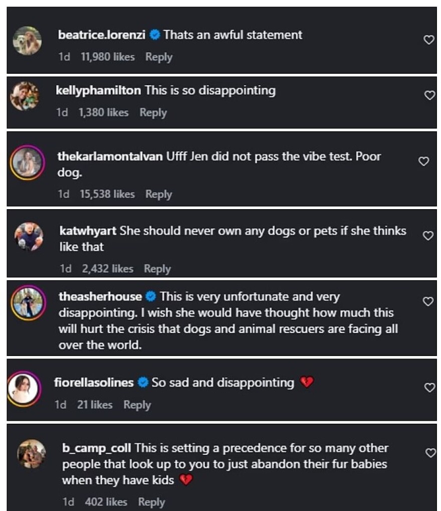 Τζένιφερ Λόρενς: Αντιδράσεις μετά την αποκάλυψη ότι έδωσε τον σκύλο της στους γονείς της αφού δάγκωσε τον γιο της