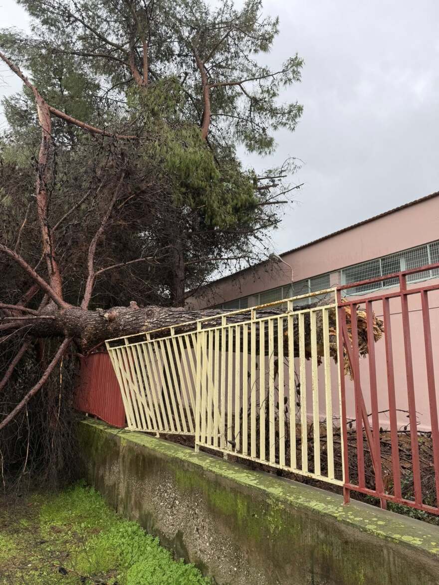 Ανεμοστρόβιλος χτύπησε το Μεσολόγγι: Ξερίζωσε δέντρα και ξήλωσε μεταλλικές κατασκευές, δείτε βίντεο και φωτογραφίες