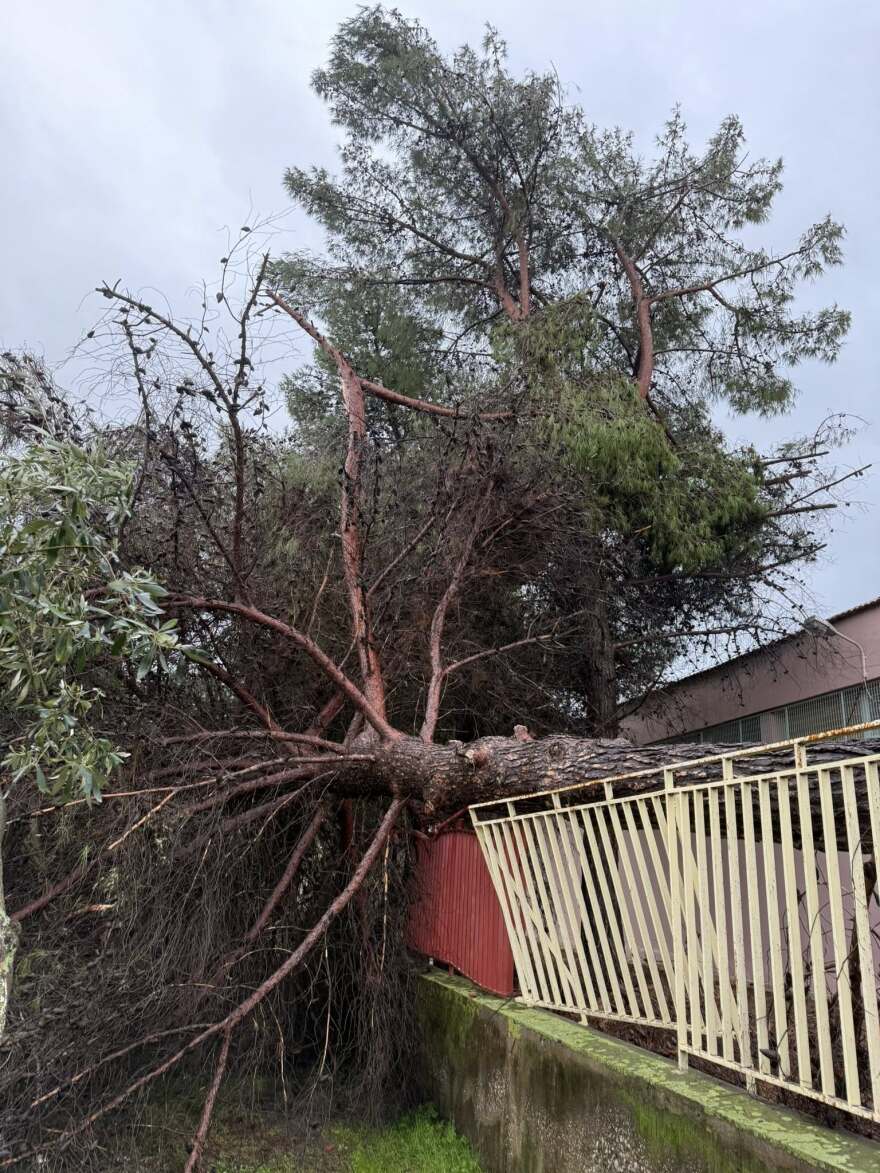 Ανεμοστρόβιλος χτύπησε το Μεσολόγγι: Ξερίζωσε δέντρα και ξήλωσε μεταλλικές κατασκευές, δείτε βίντεο και φωτογραφίες