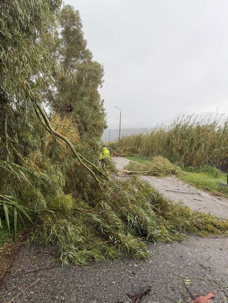 Ανεμοστρόβιλος χτύπησε το Μεσολόγγι: Ξερίζωσε δέντρα και ξήλωσε μεταλλικές κατασκευές, δείτε βίντεο και φωτογραφίες